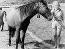 Маркова Лена с лошадьми <h3>(фото из архива Елены Марковой)</h3>