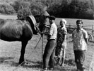 Лошадь - основная тягловая сила <h3>(фото из архива Марии Фёдоровой)</h3>